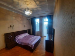 apartament naxcivani street